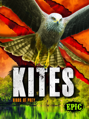 cover image of Kites
